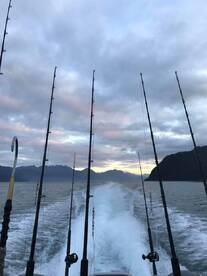 2020 Season is right around the corner!