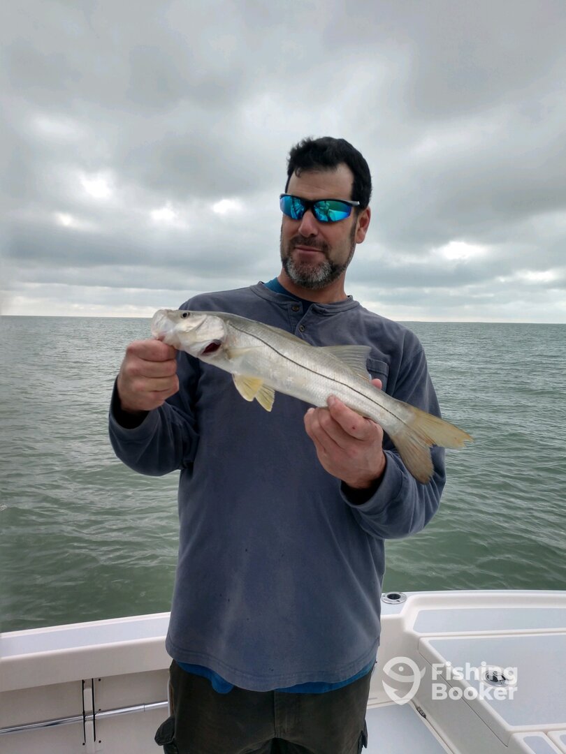 Marco Island Report Photo 0