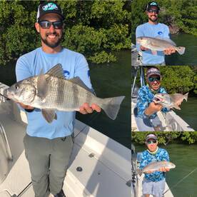 Punta Gorda Report Photo 1