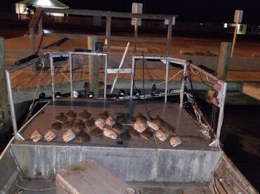 Fun times and big smiles