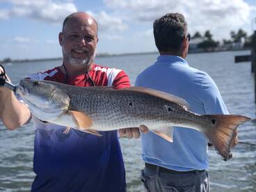 Sarasota Report Photo 1