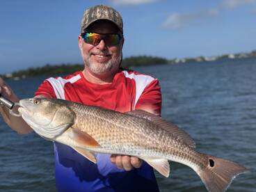 Sarasota Report Photo 2