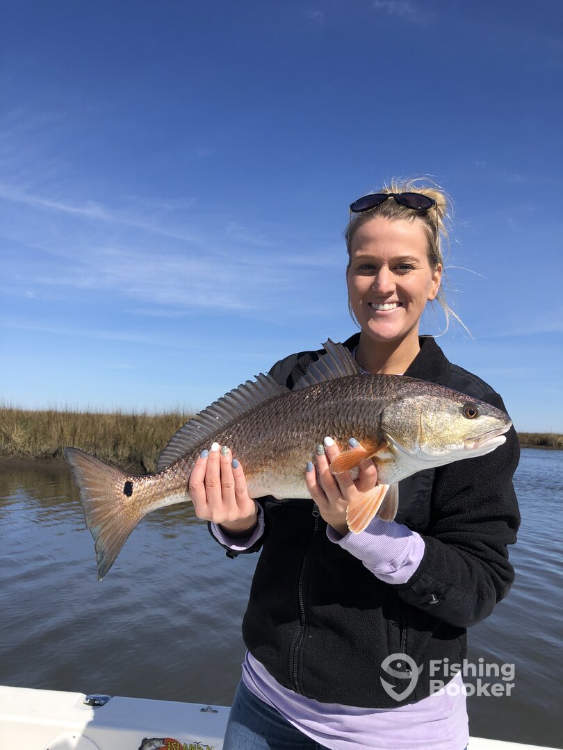 New Orleans Report Photo 0