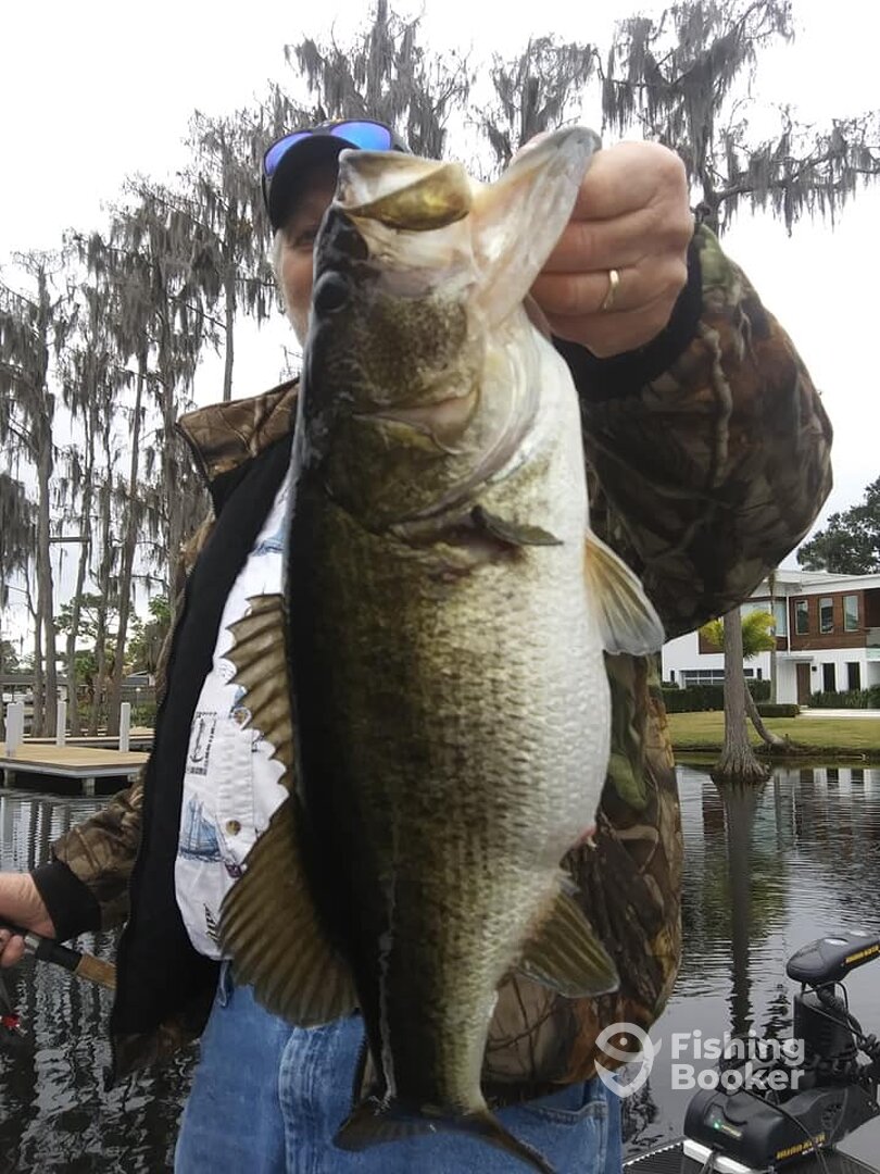 Ocoee Report Photo 0