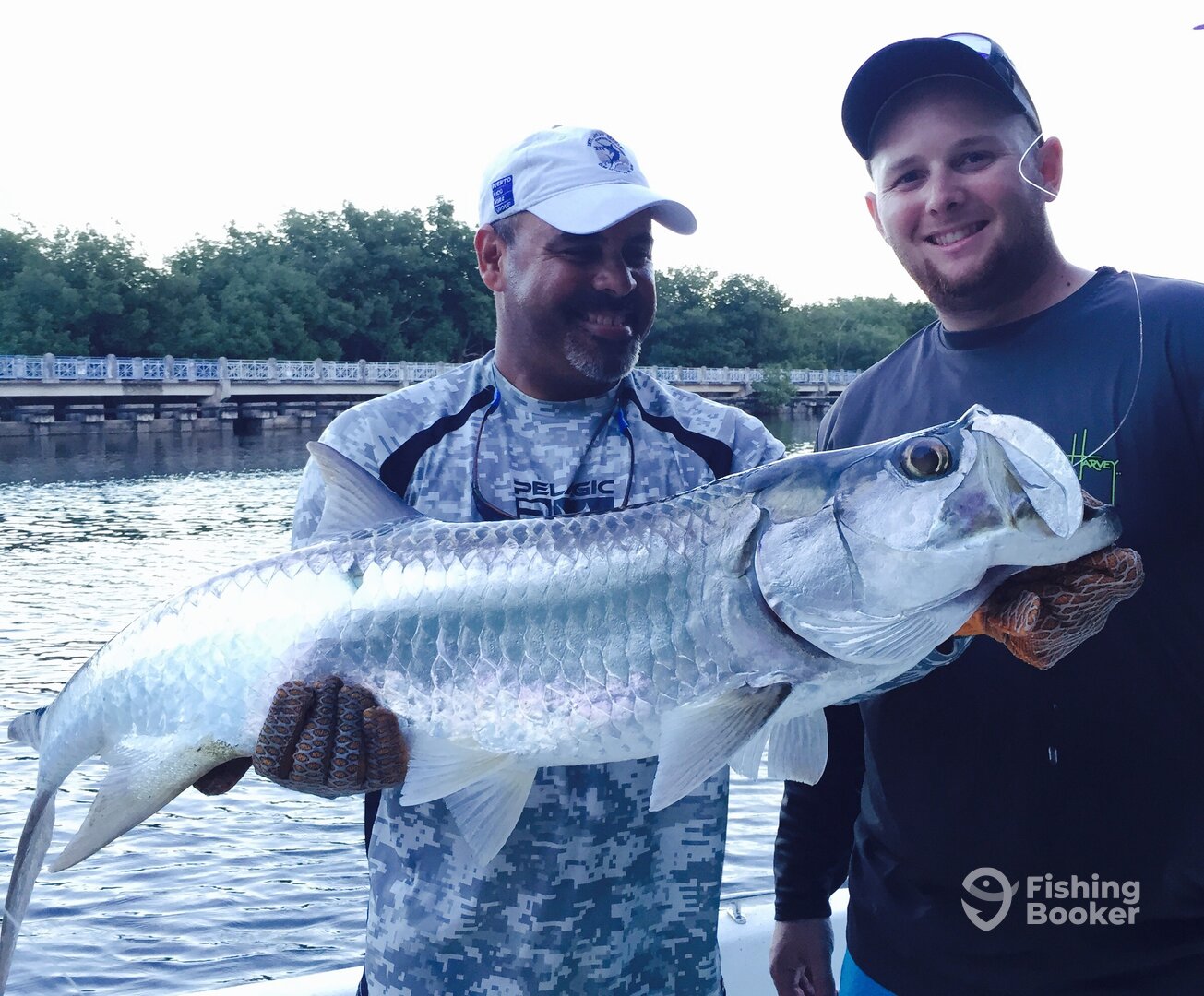 Tarpon #4 estimated at 60 lbs. Fishing Monster Tarpon at Puerto Rico