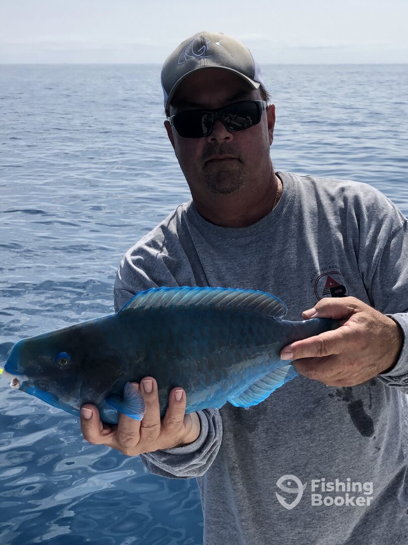 Ramrod Key Report Photo 0