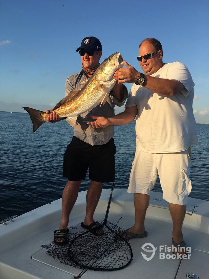 St. Petersburg Report Photo 0