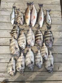 Pensacola Report Photo 1