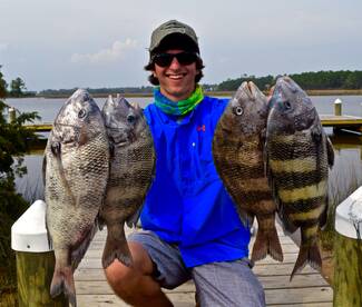 Pensacola Report Photo 2