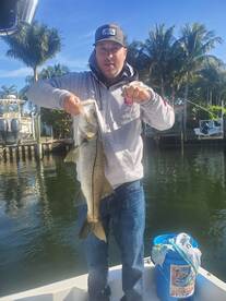 Residential Predators 