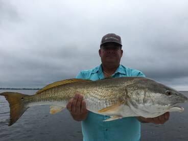 Sarasota Report Photo 2