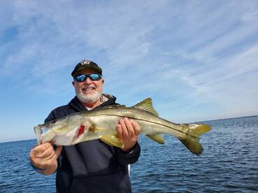 Here A Snook, There A Snook!