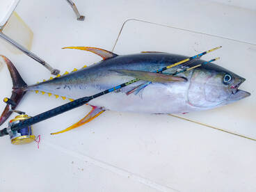 Le Morne Report Photo 2