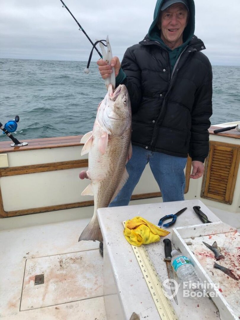 Fernandina Beach Report Photo 0