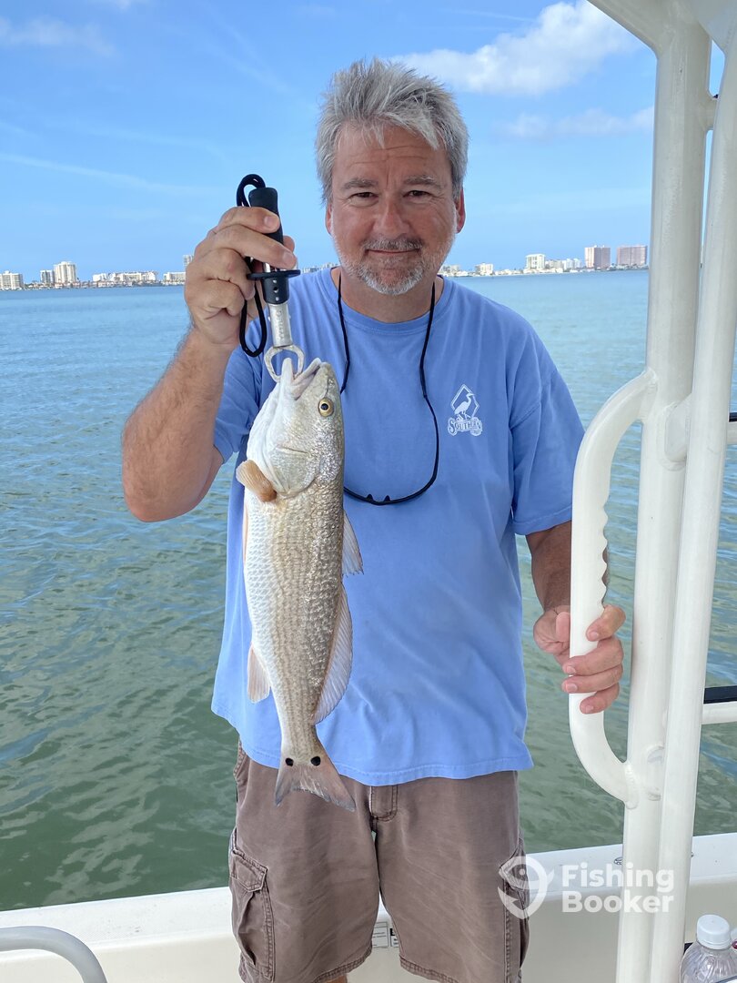 Clearwater Report Photo 0