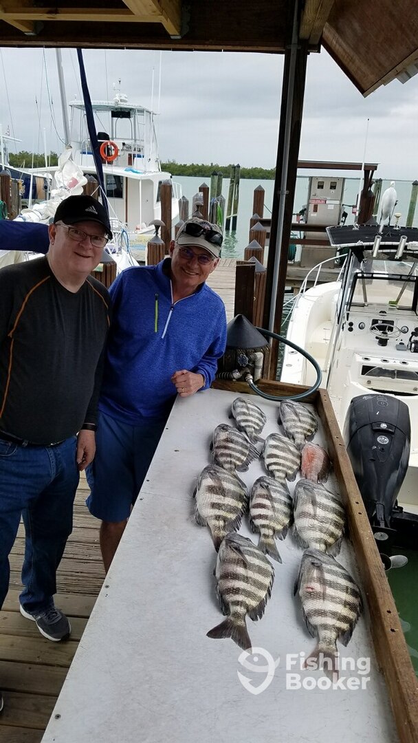 Marco Island Report Photo 0