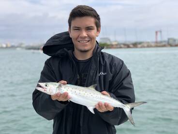 Sarasota Report Photo 2