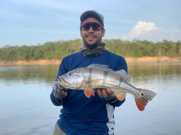 Envigado Report Photo 4