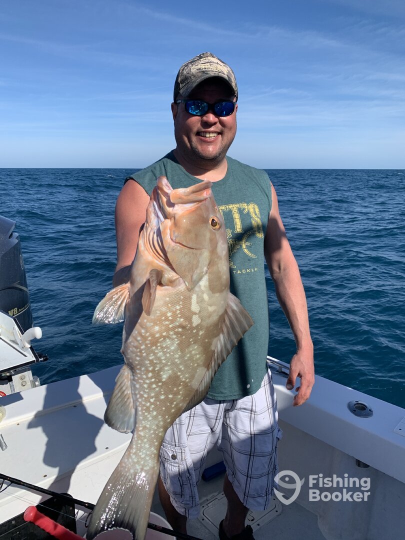 Naples Report Photo 0