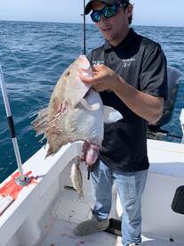 Naples Report Photo 2