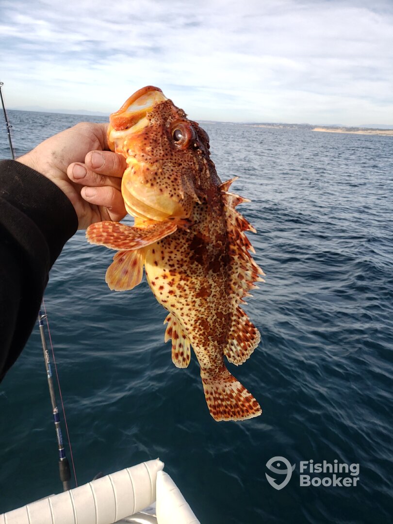 San Diego Report Photo 0