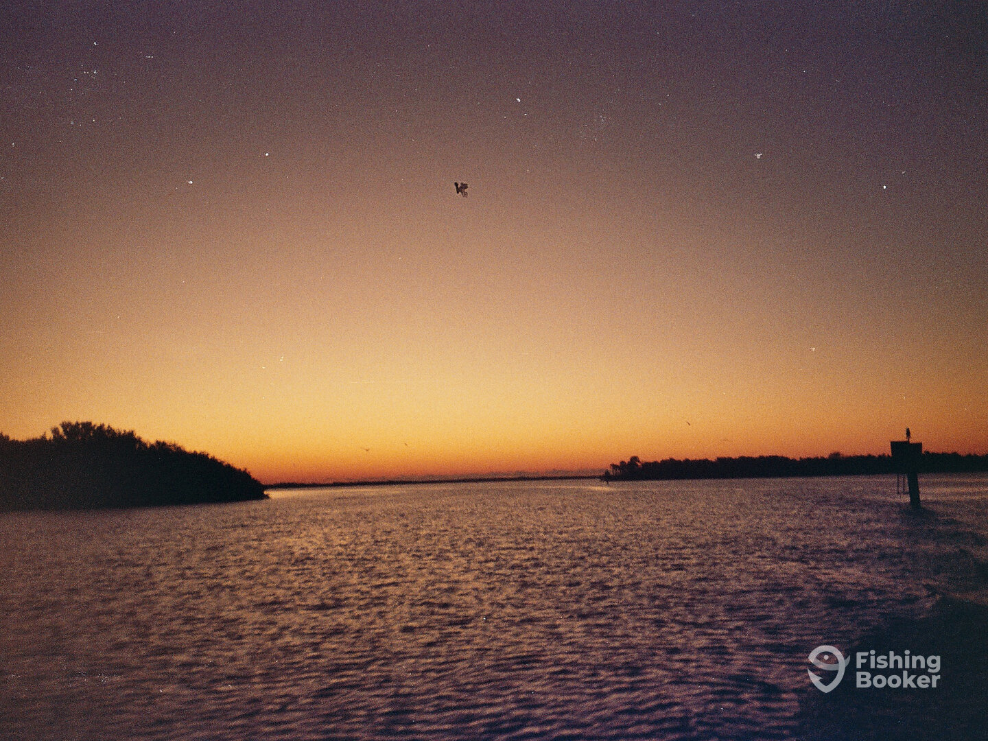 Oak Hill Report Photo 0