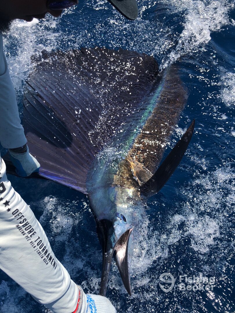 Playa Flamingo Report Photo 0