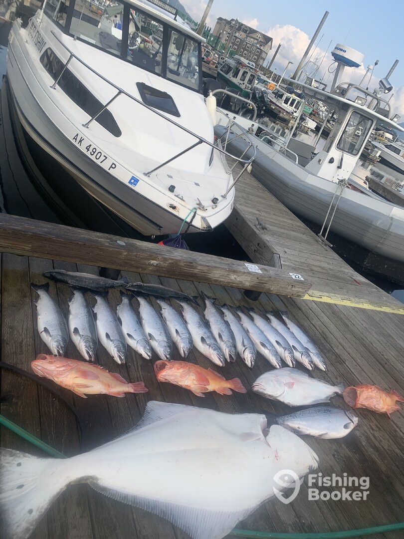 Ketchikan Report Photo 0