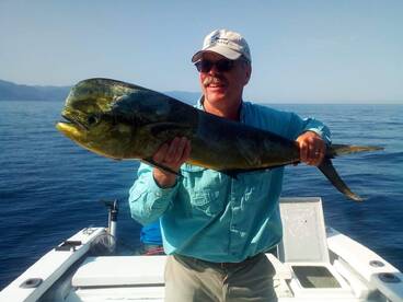 Puerto Vallarta Report Photo 2