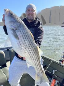 Rutledge Report Photo 1