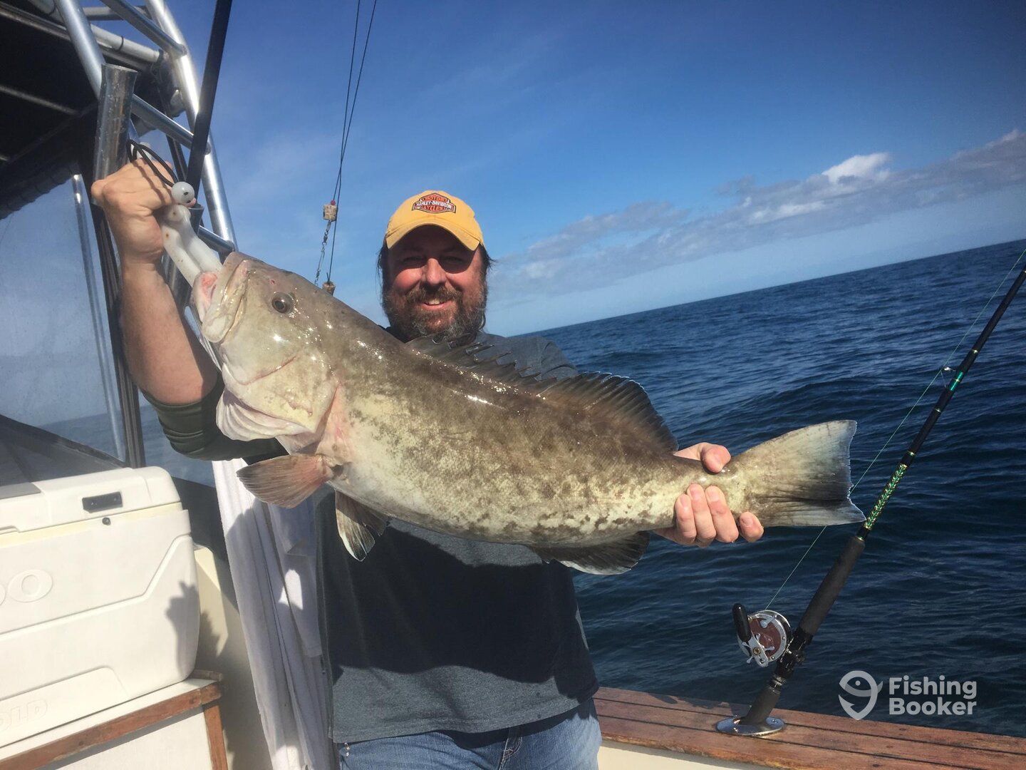 Fernandina Beach Report Photo 0