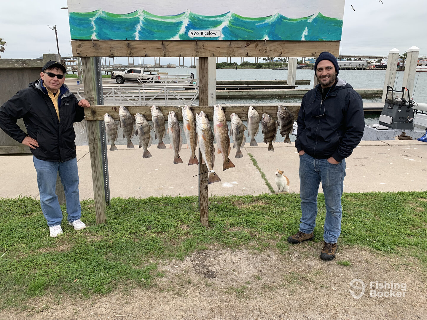 Aransas Pass Report Photo 0