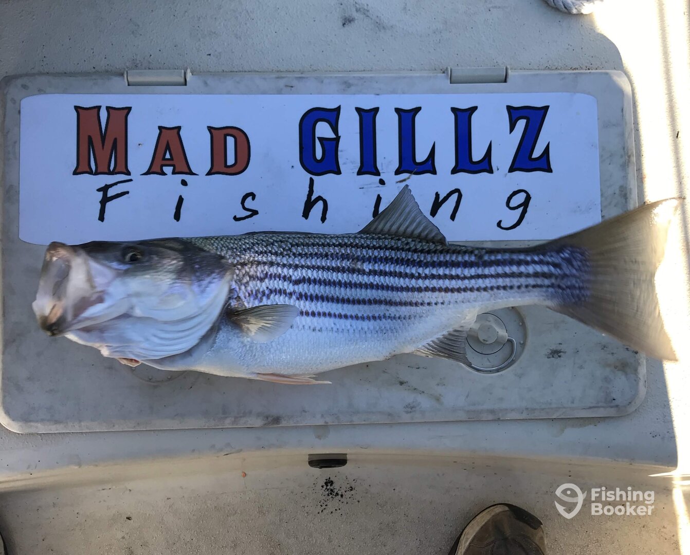 Cumming Report Photo 0