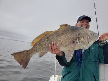 Gulf Shores Report Photo 1