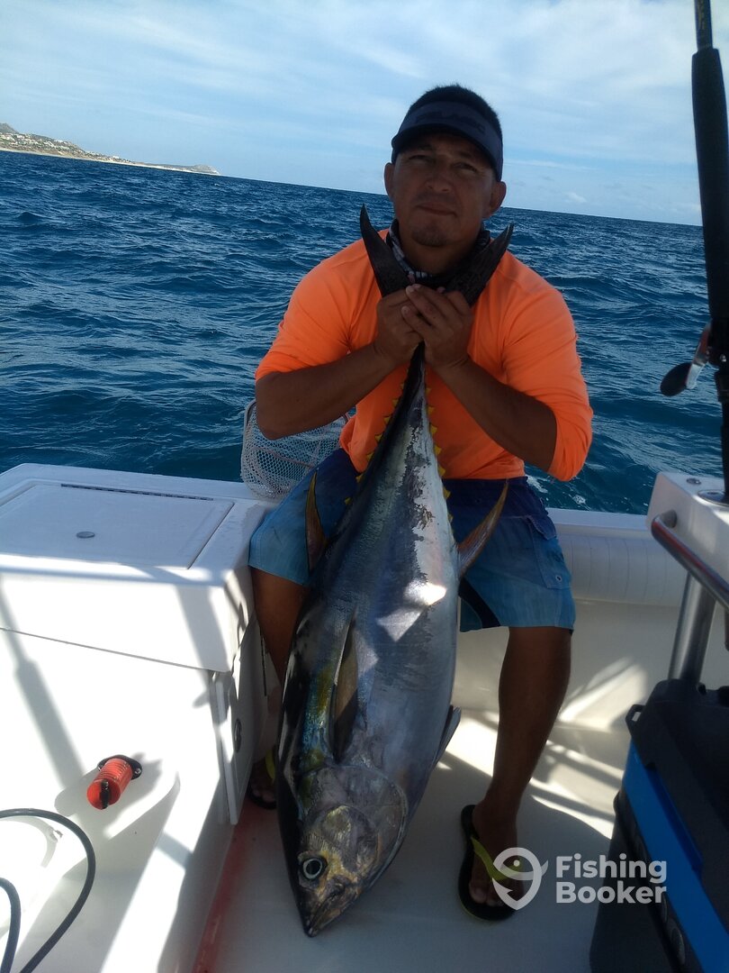 San Jose del Cabo Report Photo 0