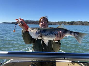 Cumming Report Photo 1