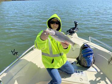 Cumming Report Photo 2