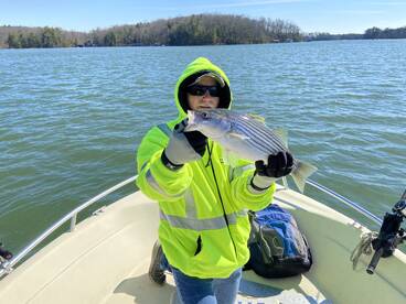 Cumming Report Photo 1