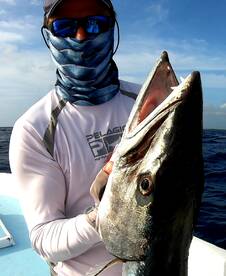 Puerto Aventuras Report Photo 1