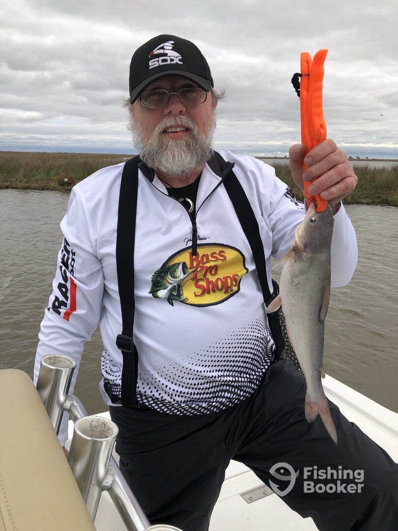 New Orleans Report Photo 0