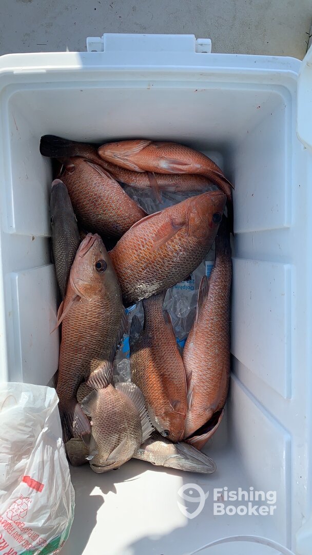 Clearwater Report Photo 0