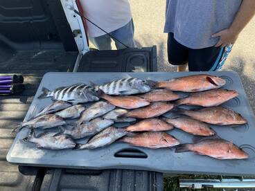 Clearwater Report Photo 1