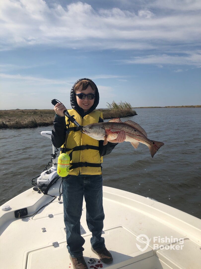 New Orleans Report Photo 0