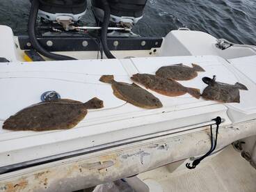 Flounder in deeper waters 