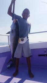 Destin Report Photo 1