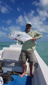 Beautiful Permit fish while flats fishin