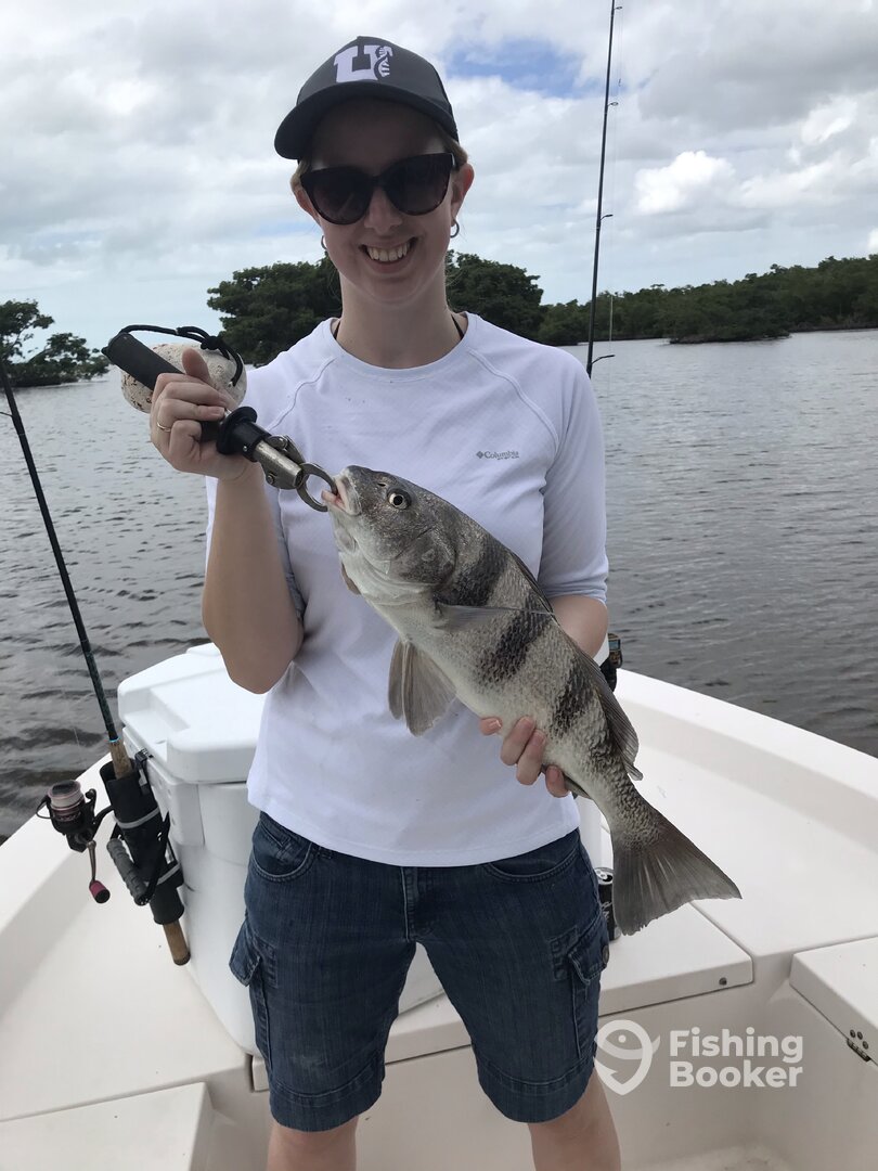 Chokoloskee Report Photo 0