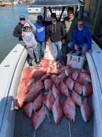 Galveston Report Photo 1