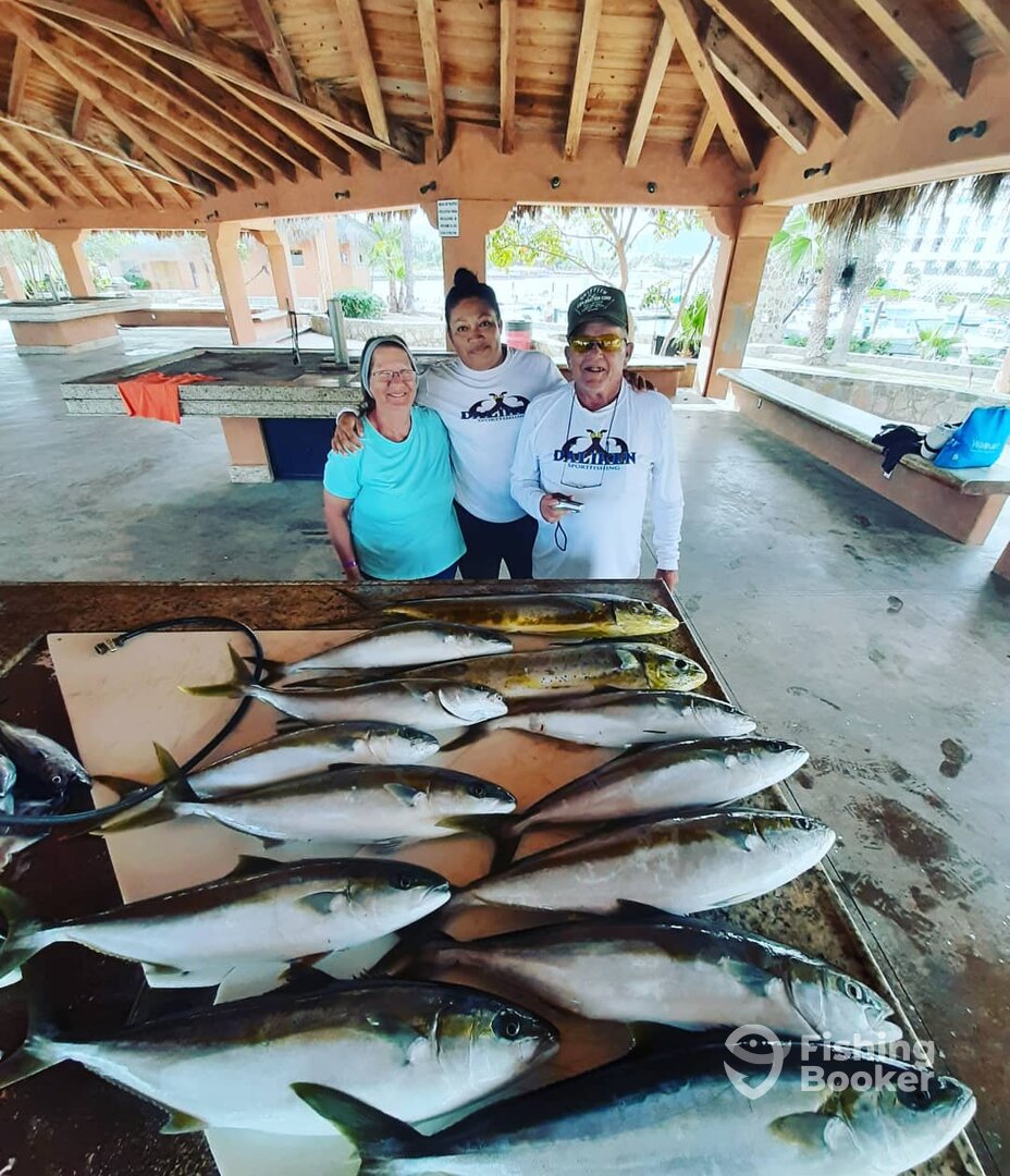 San Jose del Cabo Report Photo 0