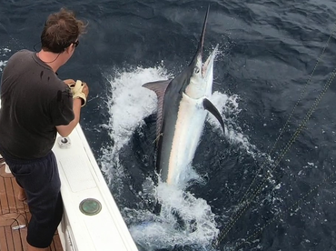 Ambition report 25th.February'20